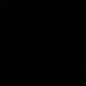 Meet your Posher, Tanner